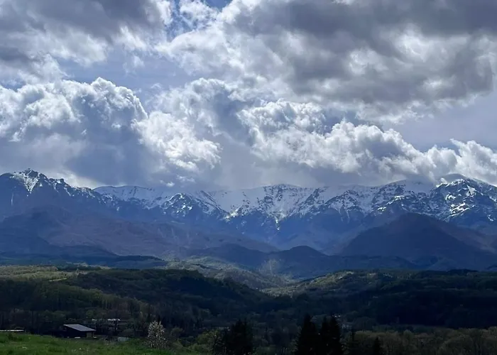 милена 阿普里尔齐