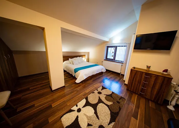 招待所 милена