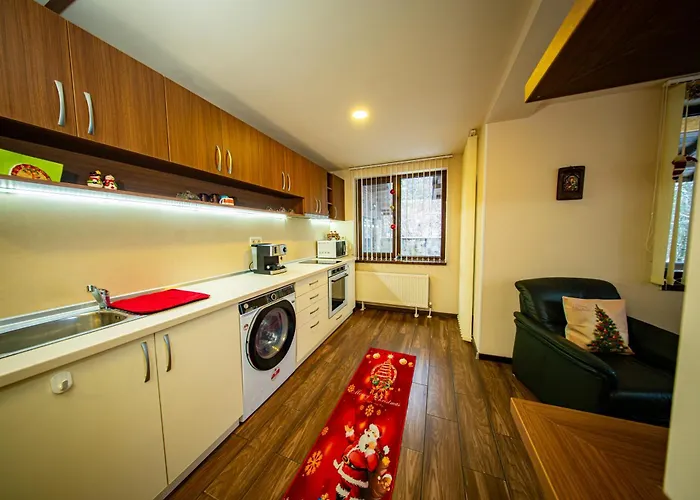 милена 招待所 *