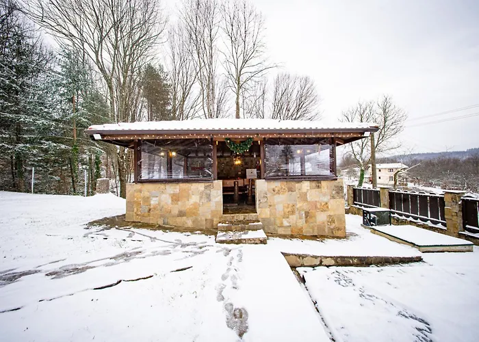 招待所 милена